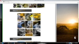 Selection photos - Waters and reflections in the Cerrado