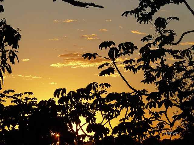 -  Chapada dos Guimarães 