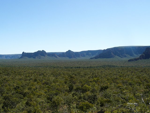 -  Chapada dos Guimarães 