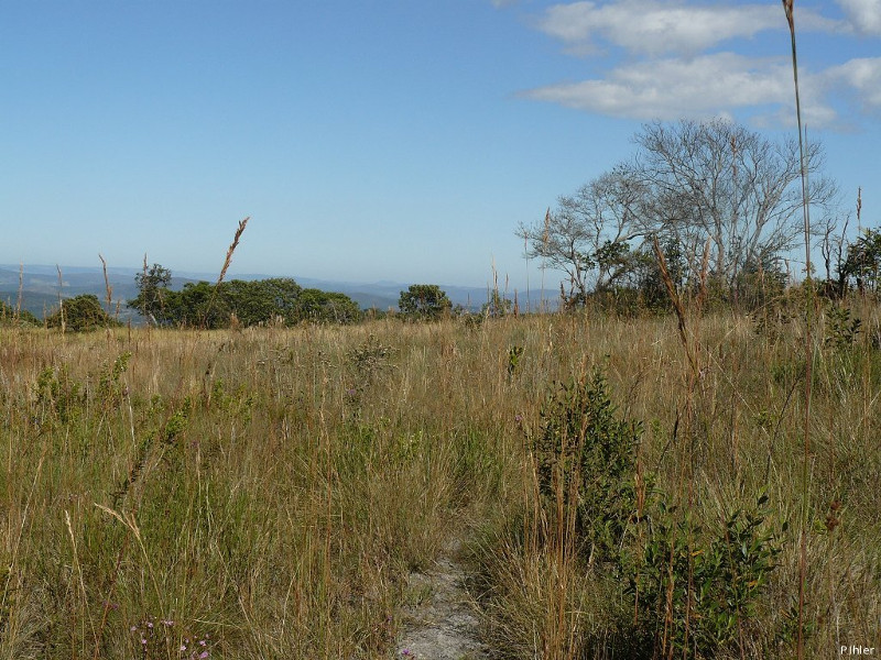 Cerrado biomass landscapes photos (rivers, sierras, etc)