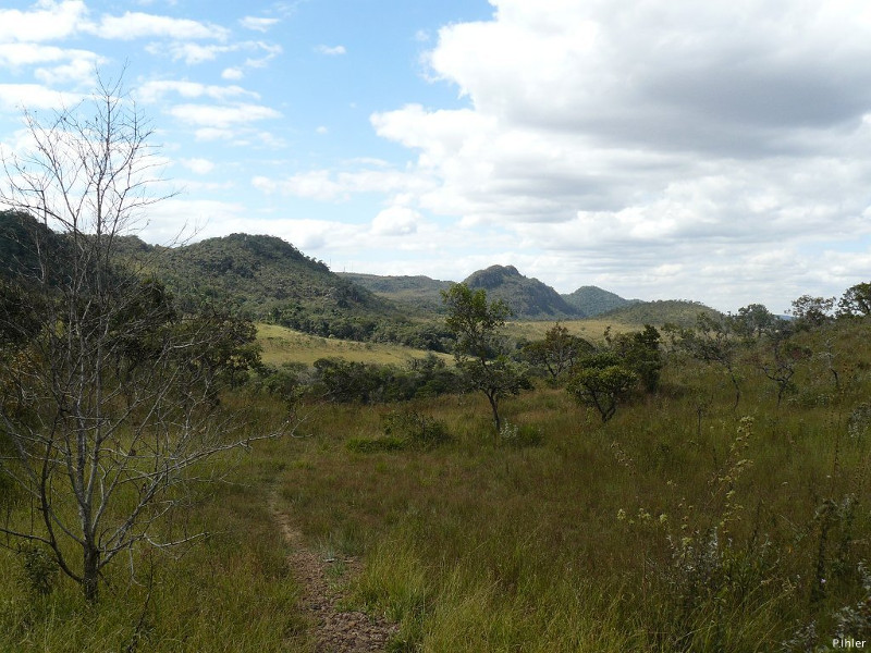 Landscapes of biomass Cerrado