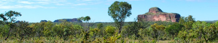 Cerrado biomass landscapes photos (rivers, sierras, etc)