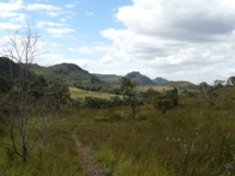 Le campo rupestre (champs) du Cerrado au Brésil