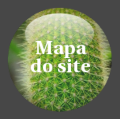 Icone mapa do site