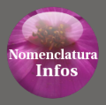 Botão - Informações sobre Nomenclatura