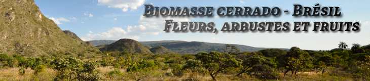 Chapada Diamantina - Etat de Bahia