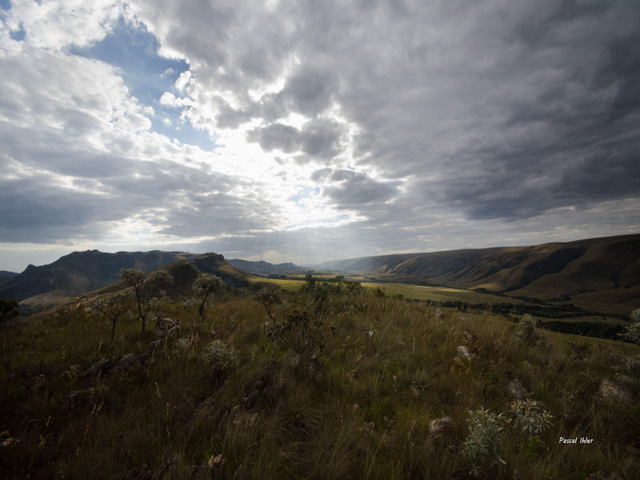 Parque Nacional da Serra da Canastra - Estado de Minas Gerais