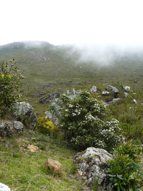 Parque Nacional do Caparaó - Minas Gerais e Espírito Santo