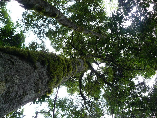 Parque Nacional do Caparaó - Minas Gerais e Espírito Santo