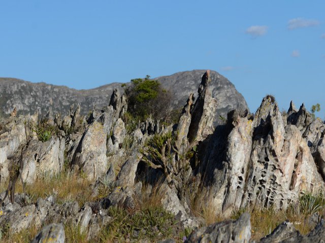 Serra do Cipó - Etat de Minas Gerais