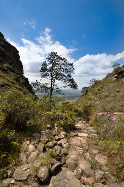 Chapada Diamantina - Etat de Bahia