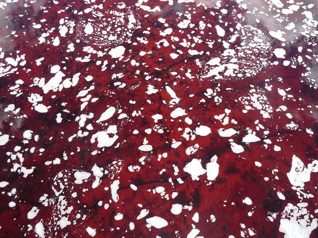 Chapada Diamantina - Etat de Bahia