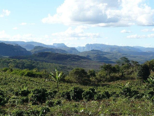 Chapada Diamantina - Etat de Bahia