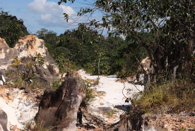 Serra Dourada - Estado de Goiás