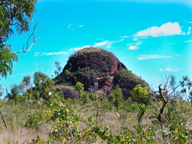 Parque do Jalapão - Estado de Tocantins