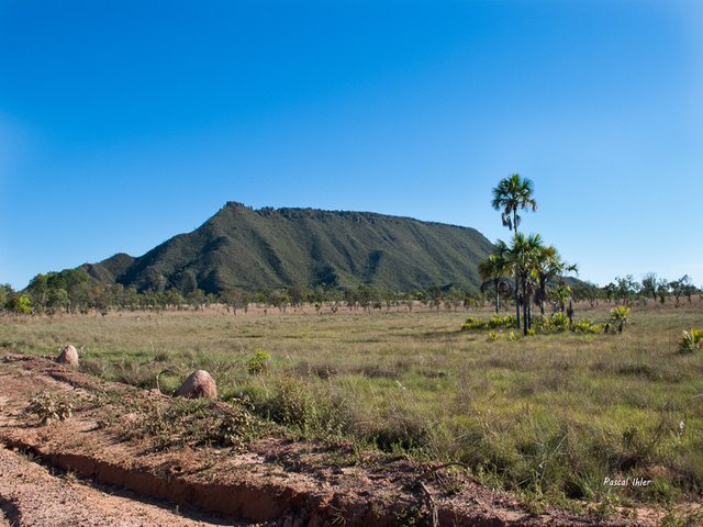 Parque do Jalapão - Estado de Tocantins