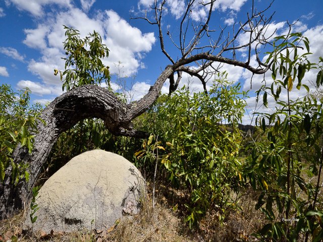 Serras dos Pireneus - Estado de Goiás