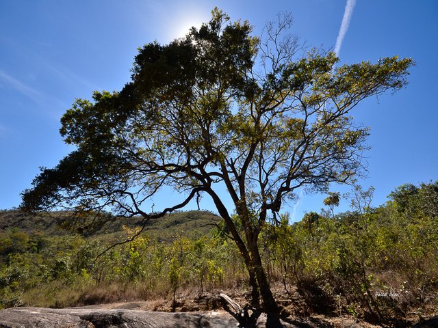 Serras dos Pireneus - Estado de Goiás