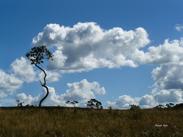 Serras dos Pireneus - Estado de Goiás