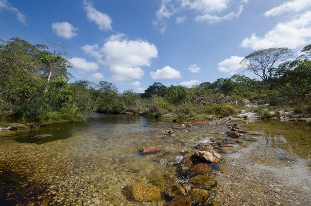 Parque Estadual du Rio Preto - Estado de Minas Gerais