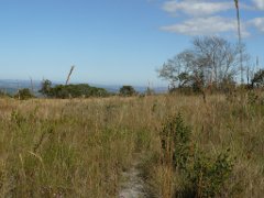 Foto do campo sujo no Cerrado do Brasil