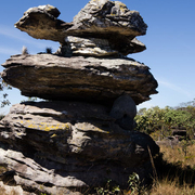 Paisagens e Cerrado insólito, estranho ...