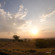 Paisagens e Cerrado insólito, estranho ...