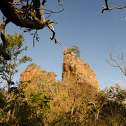 Paisagens e Cerrado insólito, estranho ...