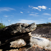 Paisagens e Cerrado insólito, estranho ...