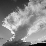 Paisagens e Cerrado insólito, estranho ...