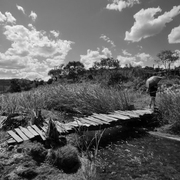 Paisagens e Cerrado insólito, estranho ...