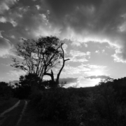 Paisagens e Cerrado insólito, estranho ...